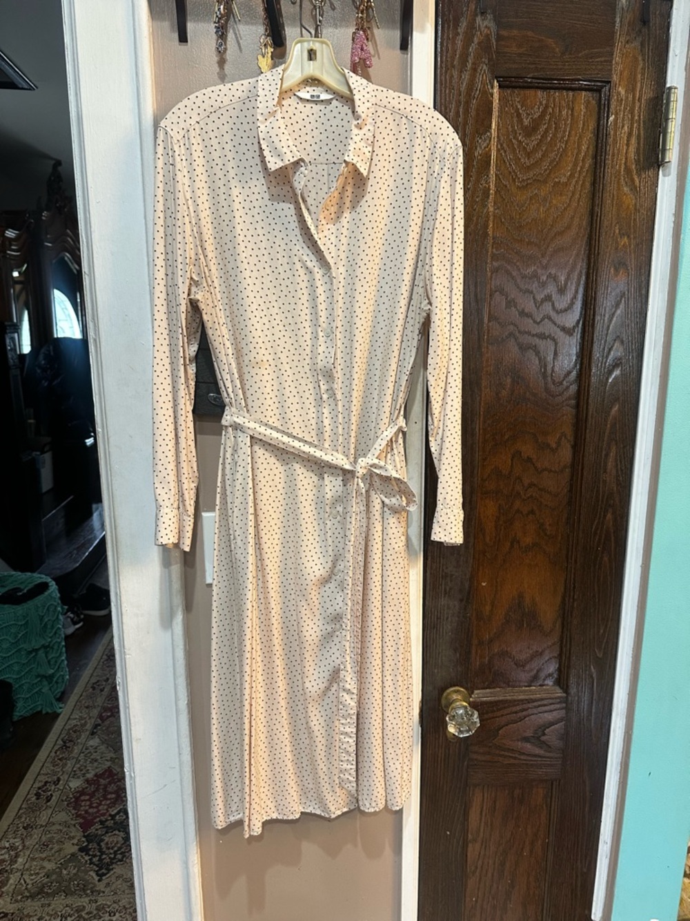 Uniqlo Blush Long-Sleeve Button Shirt Dress with Black Polka Dots
